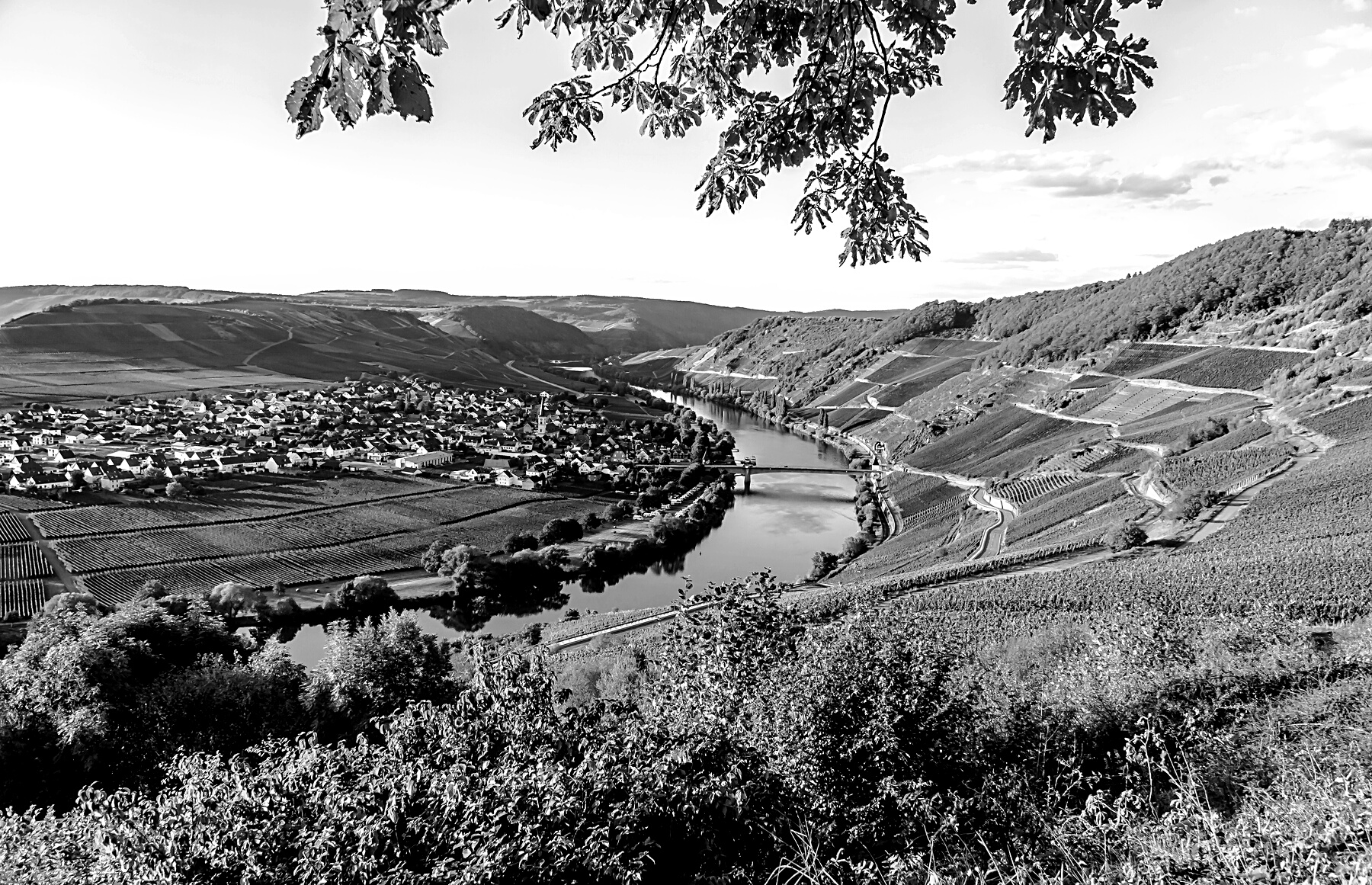 Trittenheim in Germany